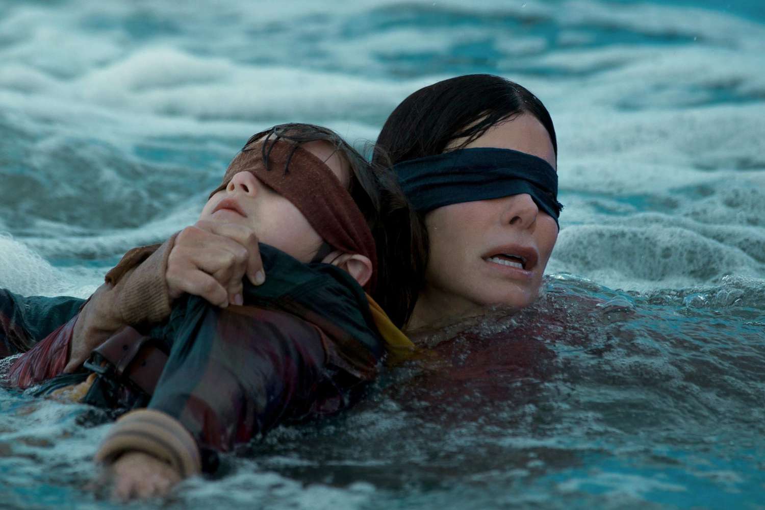 Bird Box